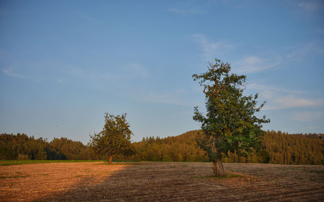 Morgen und Abend | Gunti-Morning on the way to the train station - Realisiert mit Pictrs.com