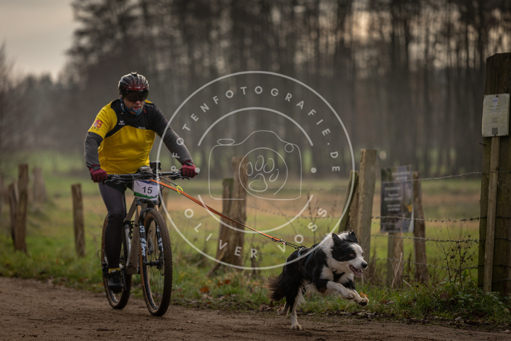 Pfotenfotografie_DV3A1847 | Hundefotografie, Tierfotograf, Pfotenfotografie, Fotoshooting Hund, Hunde Portrait, Hundesport, Hundeportraits, Heideshooting, Hunde, Sportfotograf, Hundefotograf, Turnierhundsport, THS,  - Realisiert mit Pictrs.com