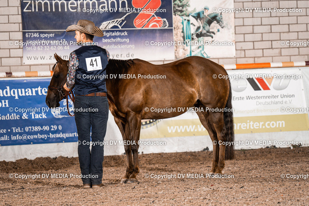 ZH200039 | dv-media-shop - Realisiert mit Pictrs.com