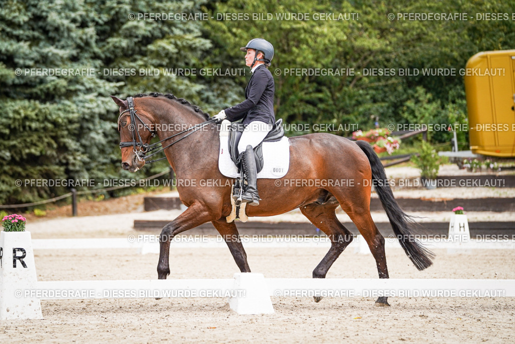 DSC04860 | Pferdegrafie