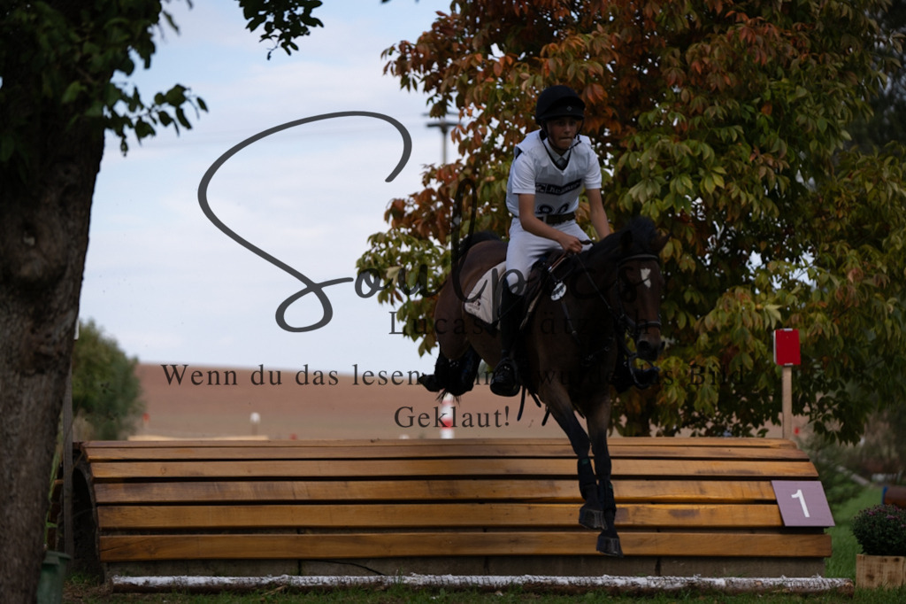 A7V03840 | Pferdefotograf