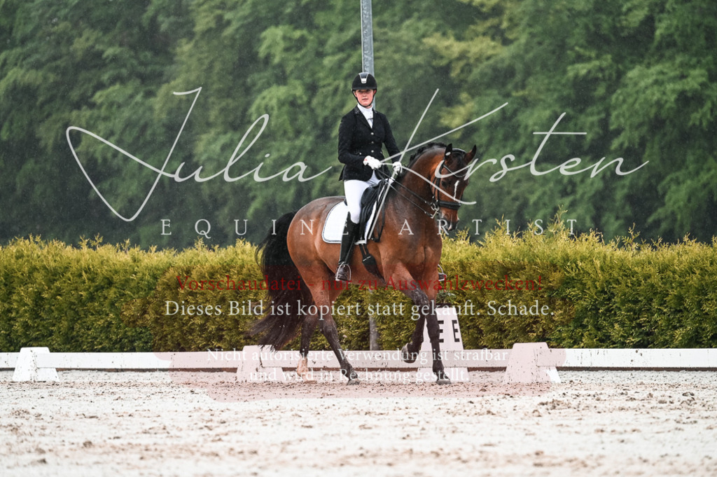 DSC_4590 | Pferde- und Turnierfotografie in Westsachsen. Pferdeportraits, Auftragszeichnungen und intuitive Kunst.