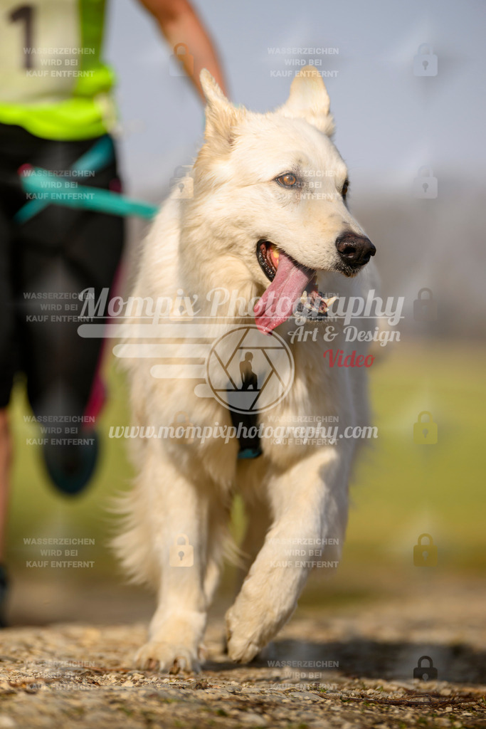 MompixPhotography_6ReiatRennen2026_SA_HappyDog-71 | PayLife