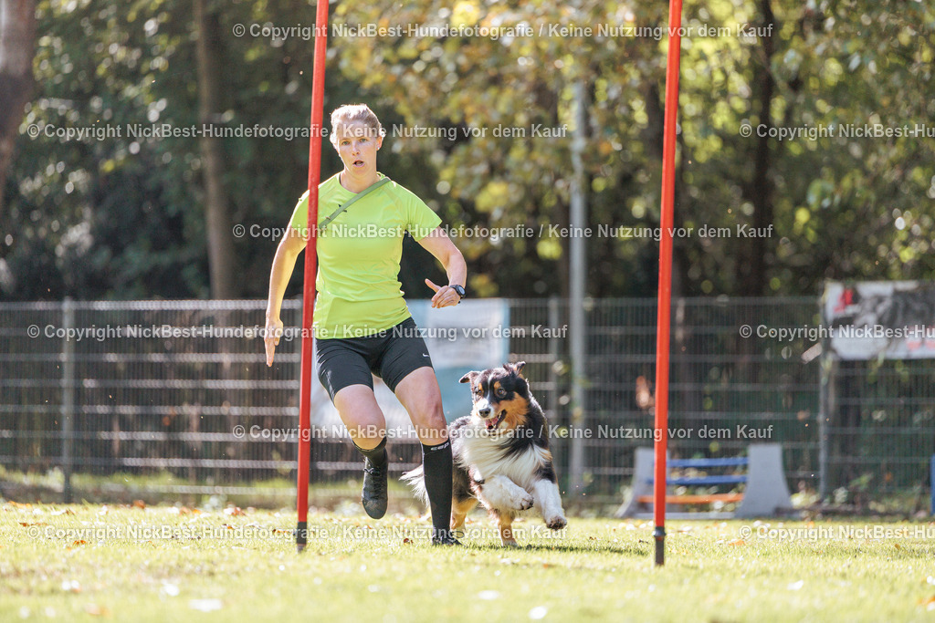 THS-HSV-Blumenthal-2026-Nickbest-Hundefotografie-3680 | Dein Hund! Dein Moment! Deine Erinnerungen! Hundefotografie in Bremen Blumenthal. Ich fange die besonderen Momente deines Vierbeiners ein – ob Indoor mit Blitzanlage oder in der freien Natur. Sicher dir dein Moment und dein Termin für eure Erinnerungen.