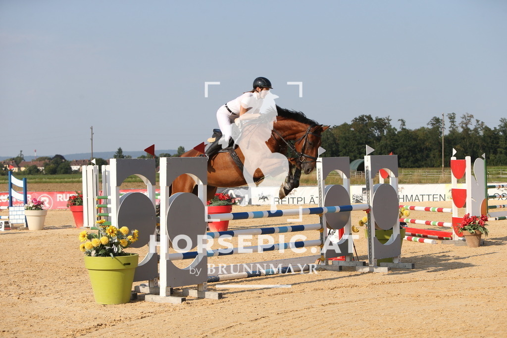 DL2Q2169 | Willkommen bei Brunnmayr - Design & Fotografie – Ihrem Spezialisten für Reitturniere und Pferdeveranstaltungen in Oberösterreich, Salzburg und Bayern! Seit über 17 Jahren sind wir leidenschaftlich dabei.