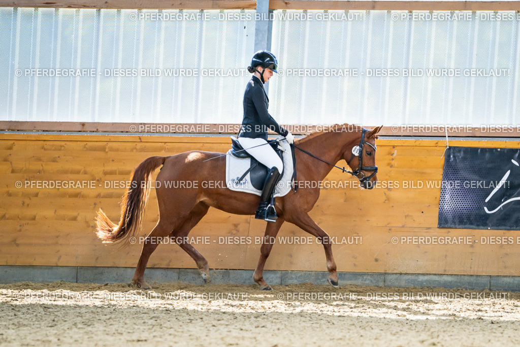 DSC05130 | Pferdegrafie