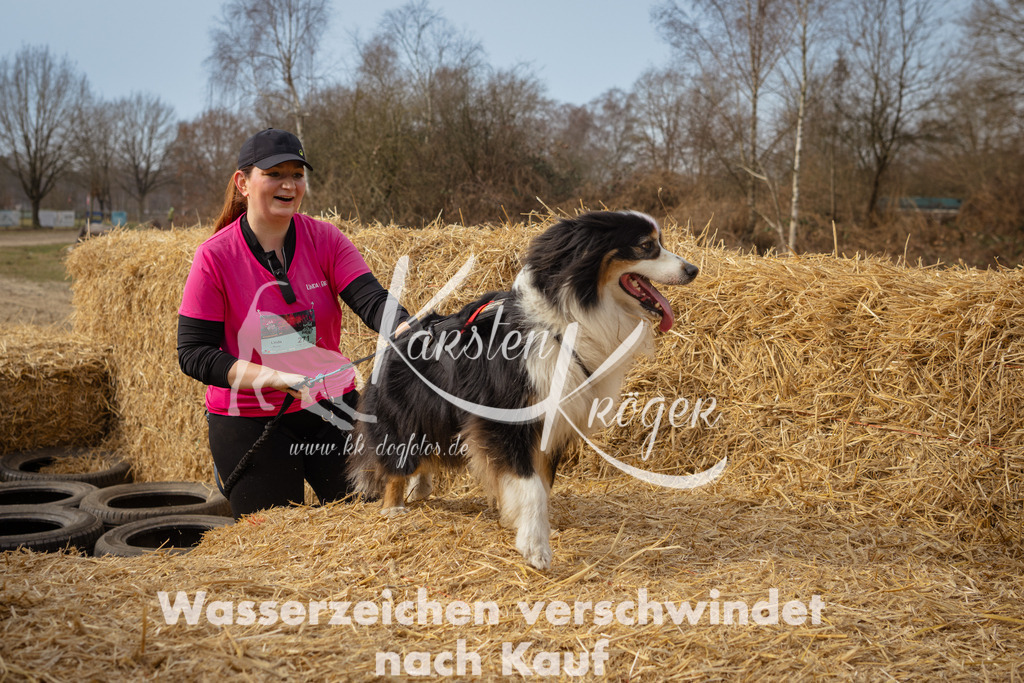1116_ZZ92571 | kk-dogfotos