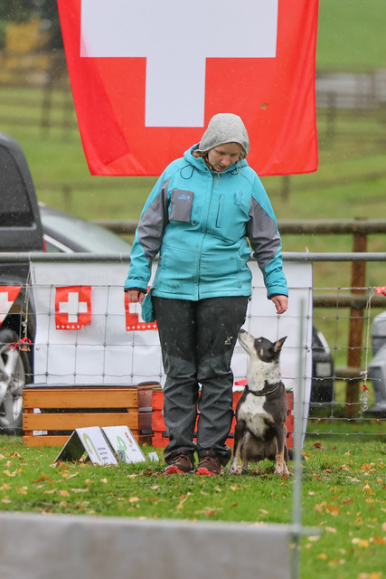 2025_Rally_Obedience_SM-239 | Ich fotografiere Hundeausstellungen, Sportanlässe, Zuchtstätten, Hundezucht, Hundeportrait, Lagotto - Realisiert mit Pictrs.com