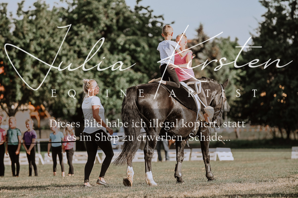 DSC_9990 | Pferde- und Turnierfotografie in Westsachsen. Pferdeportraits, Auftragszeichnungen und intuitive Kunst.