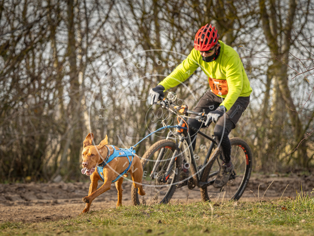 Pfotenfotografie_DV3A8454 | Hundefotografie, Tierfotograf, Pfotenfotografie, Fotoshooting Hund, Hunde Portrait, Hundesport, Hundeportraits, Heideshooting, Hunde, Sportfotograf, Hundefotograf, Turnierhundsport, THS,  - Realisiert mit Pictrs.com