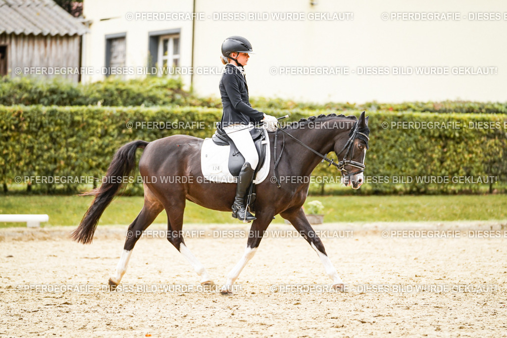 DSC00215 | Pferdegrafie