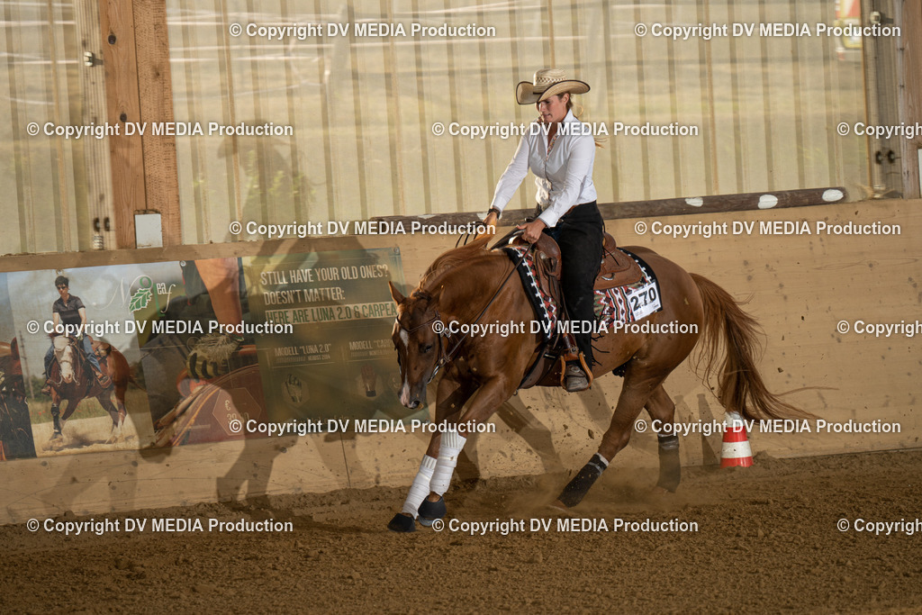 LAU01984 | dv-media-shop - Realisiert mit Pictrs.com