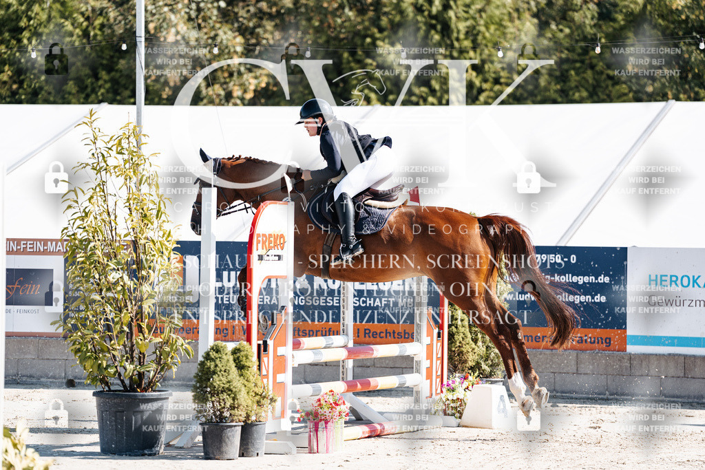 CK904948 | Turnierfotografie Pferdefotografie Trier Rheinland-Pfalz Pferdesport Reitsport Tierfotografie Sportfotografie Pferdevideo Pferdevideografie Equestrianvideography equestrianphotography  - Realisiert mit Pictrs.com