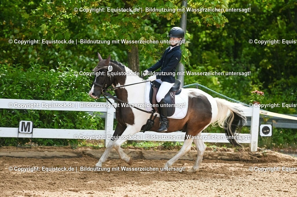 20230716_10-2_Reiter-WB Schritt - Trab - Galopp_0177 | equistock