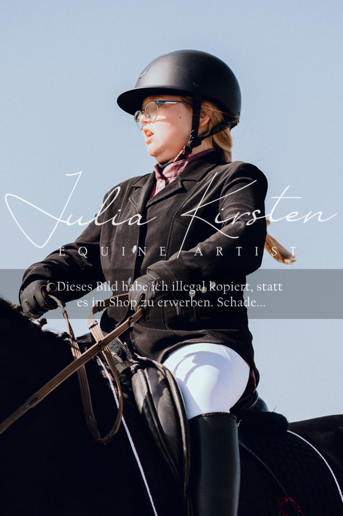 DSC_6951 | Pferde- und Turnierfotografie in Westsachsen. Pferdeportraits, Auftragszeichnungen und intuitive Kunst.