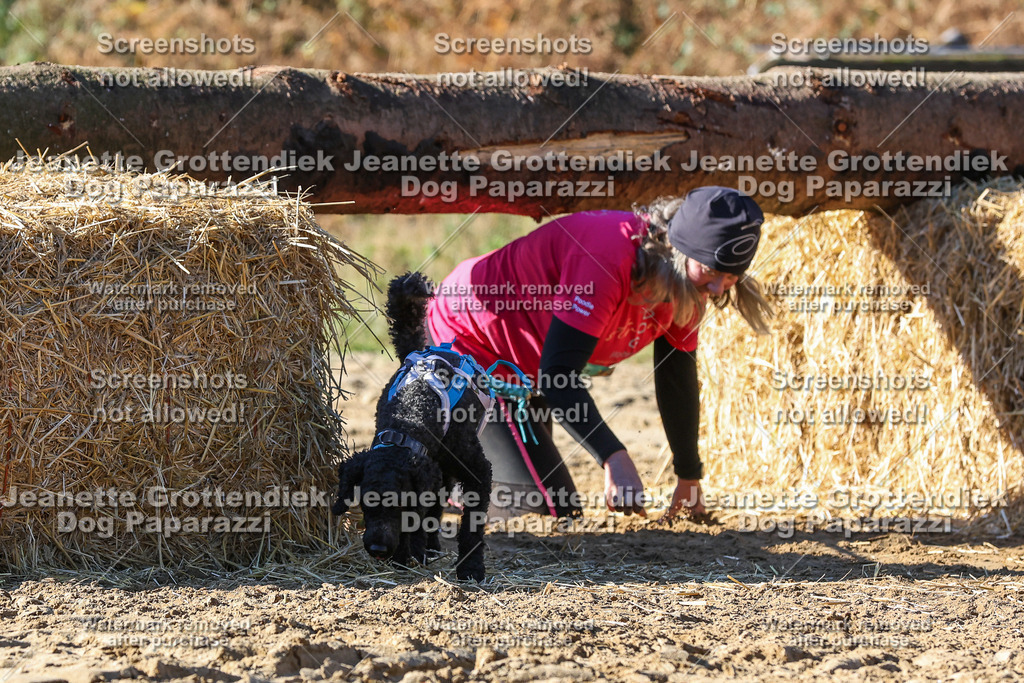 Dog Paparazzi - Strongdog 10-25-2694 | Dog Paparazzi Jeanette Grottendiek Fotografie & Videografie - Realisiert mit Pictrs.com