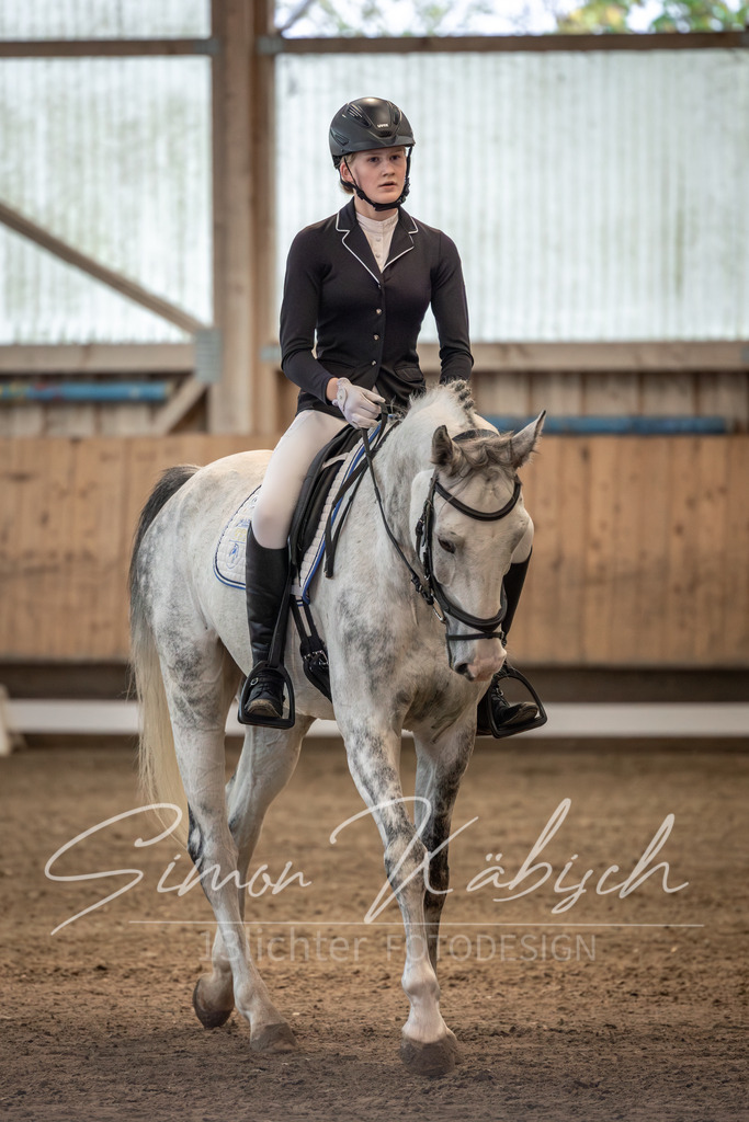 20251011-_3LI5649 | Tierfotografie Pferde, Hunde, Katzen, Haustiere.
Turnierfotografie Reitturniere, Reiten, Springreiten, Dressur in Hanau, dem Main-Kinzig-Kreis und dem Rhein-Main- Gebiet um Frankfurt