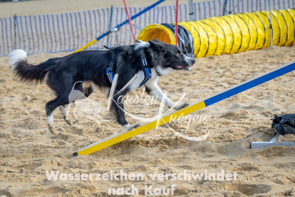 0940_ZZ92701 | kk-dogfotos