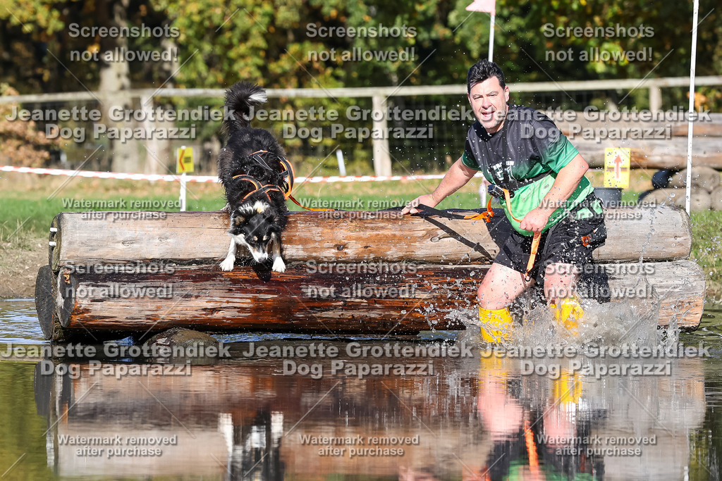 Dog Paparazzi - Strongdog 10-25-8982 | Dog Paparazzi Jeanette Grottendiek Fotografie & Videografie - Realisiert mit Pictrs.com