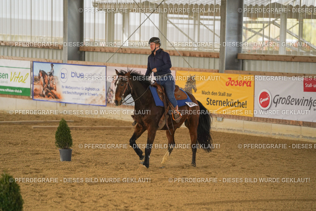 DSC04371 | Pferdegrafie