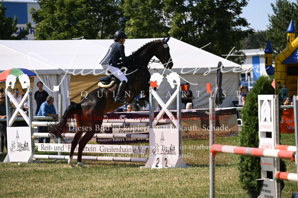 DSC_0488 | Pferde- und Turnierfotografie in Westsachsen. Pferdeportraits, Auftragszeichnungen und intuitive Kunst.