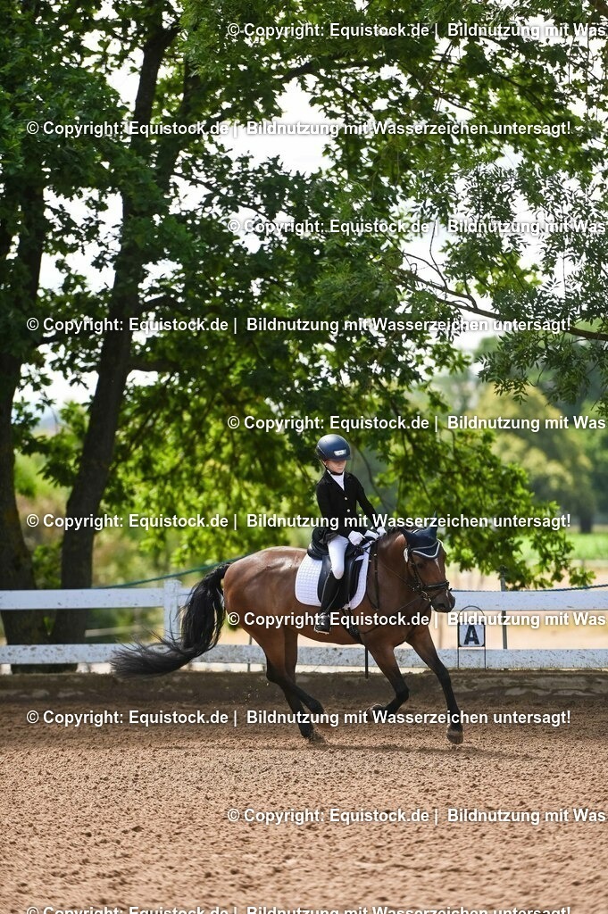 20230716_10-3_Reiter-WB Schritt - Trab - Galopp_0060 | equistock
