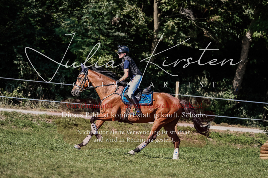 DSC_3384 | Pferde- und Turnierfotografie in Westsachsen. Pferdeportraits, Auftragszeichnungen und intuitive Kunst.