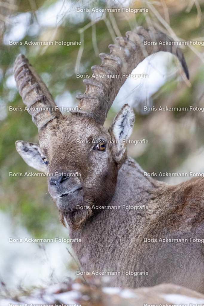 148A7059 | FineArtPrint, Hahnemühle, FeeGalerie, Fee Galerie, Fotokunst, Fotografie, Canonphotography, Bergfoto, Matterhorn, Rimpfischhorn, Allalinhorn, Saas-Fee, Wallis, Valais, Switzerland, Bergfotografie