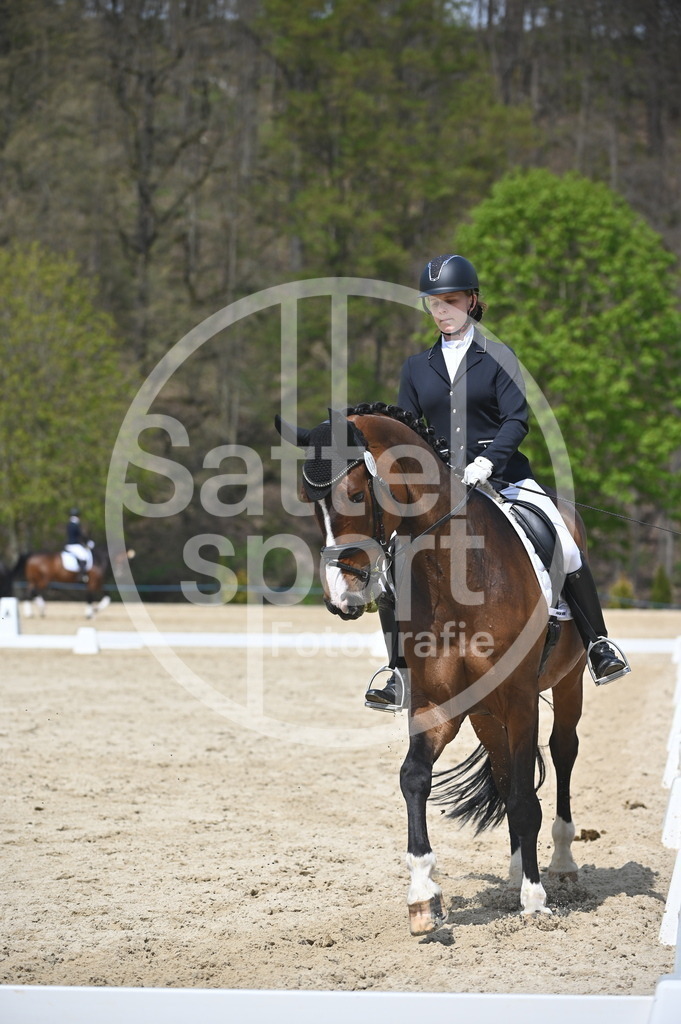 DSC_2379 | sattelsport - Realisiert mit Pictrs.com