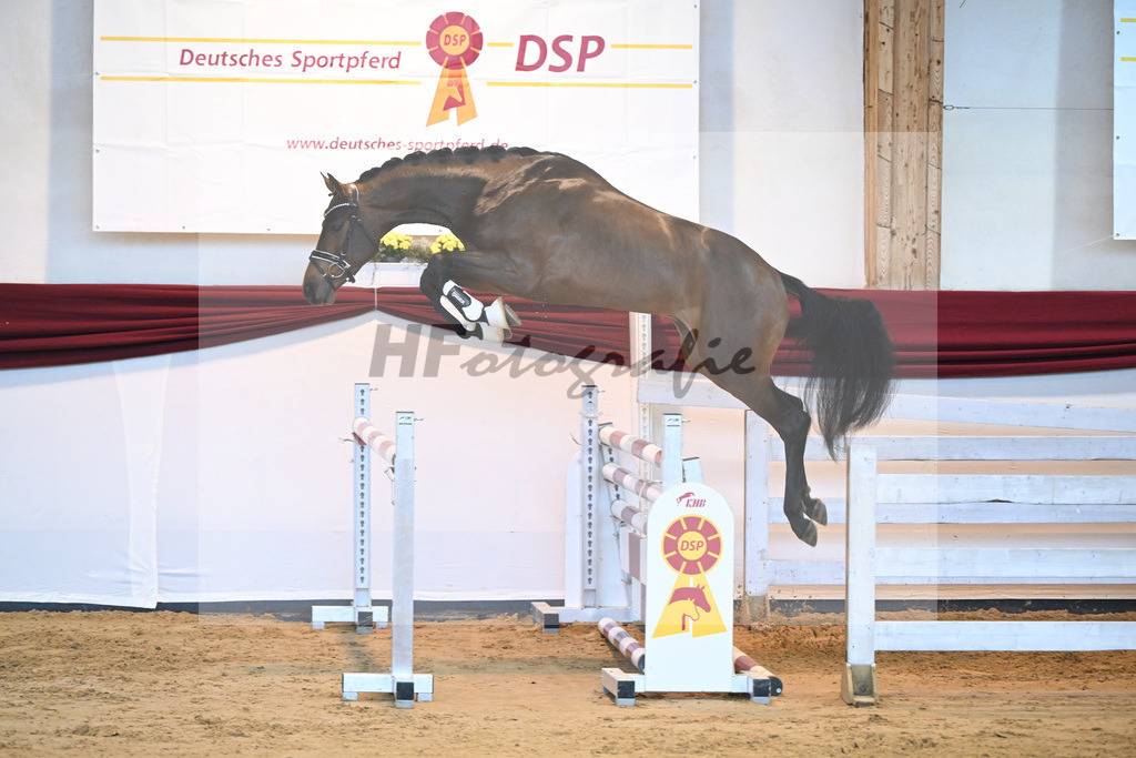 Kat-Nr. 60 v. Zinedream_Schreder_66221358 | hf-fotografie - Realisiert mit Pictrs.com