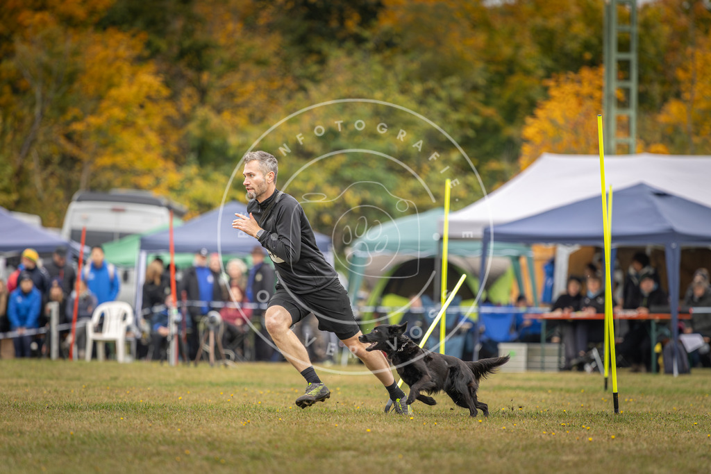 Pfotenfotografie_DV3A5509 | Hundefotografie, Tierfotograf, Pfotenfotografie, Fotoshooting Hund, Hunde Portrait, Hundesport, Hundeportraits, Heideshooting, Hunde, Sportfotograf, Hundefotograf, Turnierhundsport, THS,  - Realisiert mit Pictrs.com