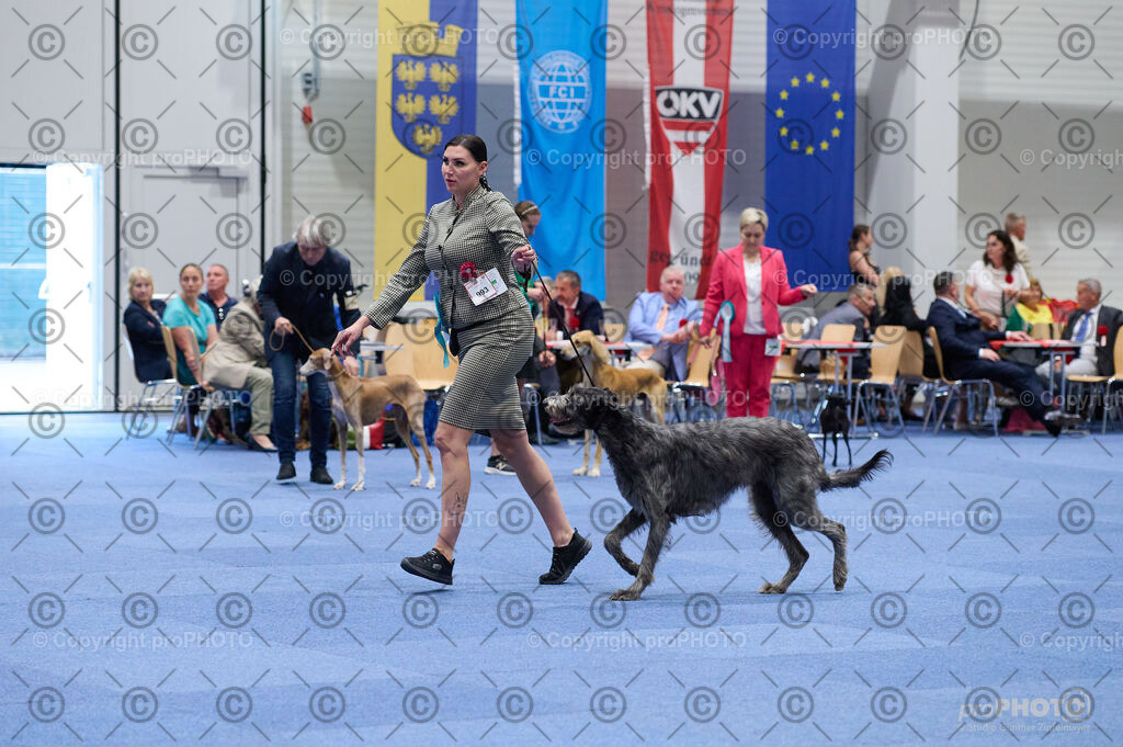 202406_ÖKV-IHA-Tulln24_DSC_3231 | proPHOTO - Realisiert mit Pictrs.com