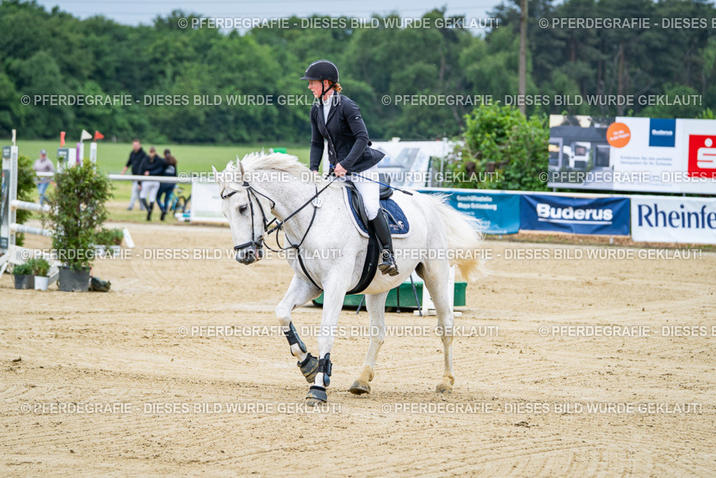 DSC03597 | Pferdegrafie