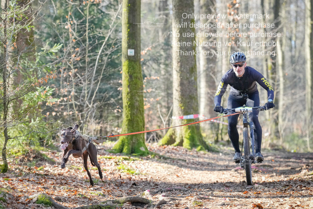 Bike_So-17 | stephaniefillaphotographie - Realisiert mit Pictrs.com