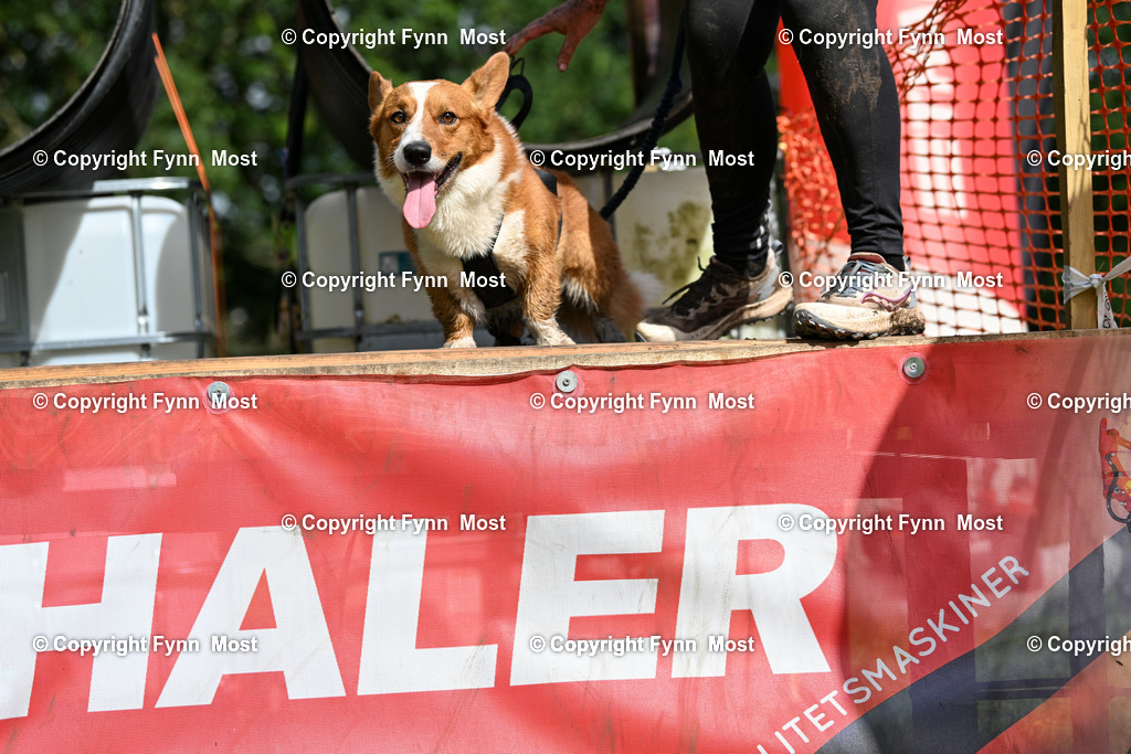 DSC_2482 | Hallo und herzlich Willkommen auf meiner Shop-Seite Fynn Most.

Ich wünsche Dir viel Spaß beim stöbern durch die Bilder, wenn Du Fragen hast oder Bilder vermisst, kannst du mir gerne eine Nachricht schreiben. - Realisiert mit Pictrs.com