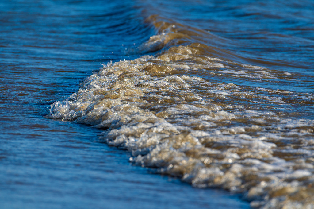 2022_10_02_MCP4667 | Hochwertig gedruckte Fotografien für die Wand, als Kalender und zum Verschenken. Hamburg & Norddeutschland und überall wo ich mit der Kamera unterwegs war.