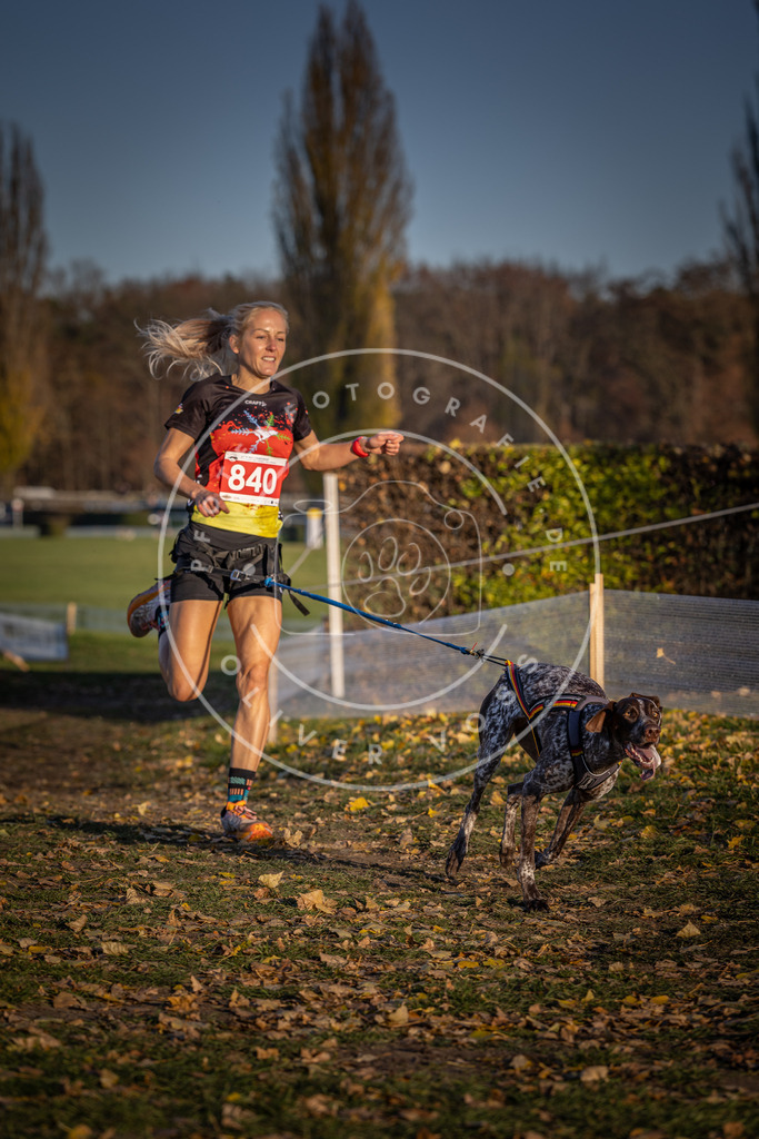 CaniXpix_DV3A3638 | Hundefotografie, Tierfotograf, Pfotenfotografie, Fotoshooting Hund, Hunde Portrait, Hundesport, Hundeportraits, Heideshooting, Hunde, Sportfotograf, Hundefotograf, Turnierhundsport, THS,  - Realisiert mit Pictrs.com