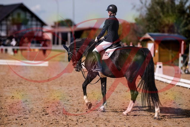 2026_10_03_Siefer-Hof_121655_Z81_20094150 | Professionelle Reitsport-, Turnier- und Eventfotografie von Robert Broda. Galerien mit ausgewählten und bearbeiteten Bildern direkt online ansehen und bestellen.