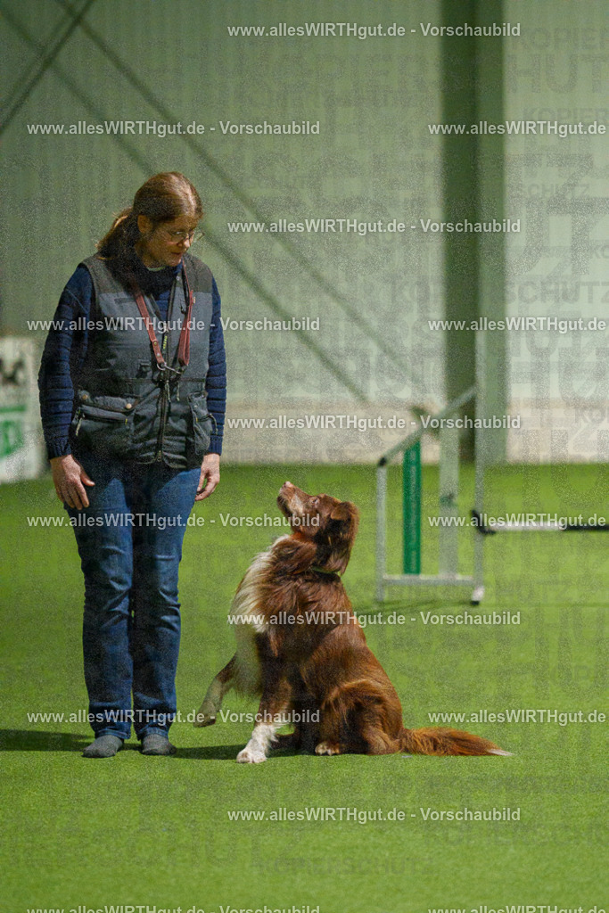 7R508961 | Professionelle Tierfotografie in Mönchengladbach von Daniel Wirth (allesWIRTHgut). Liebevolle & natürliche Bilder von Hunden & Katzen für unvergessliche Erinnerungen.