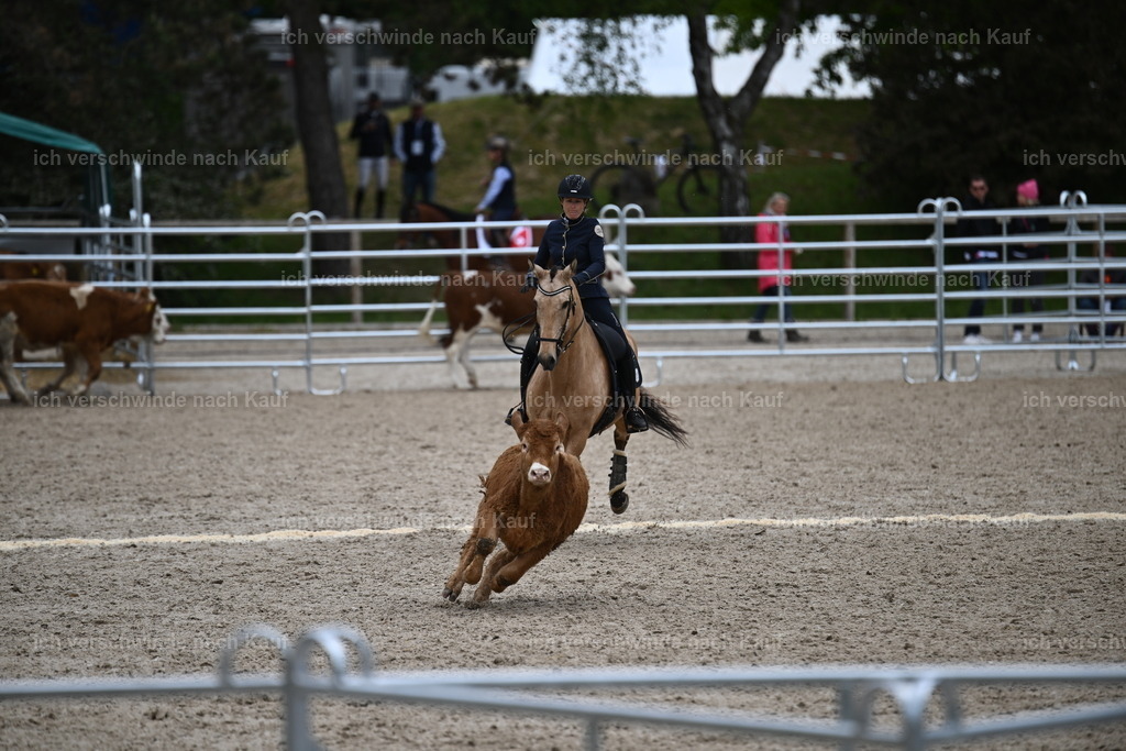 PI26_COW_Sara Landvogt226_7524.JPG | working equitationturnier fotograf videograf stoibphotography marixx film working equitation deutschland reitsport turnierfotografie eventfotografie equestrian events