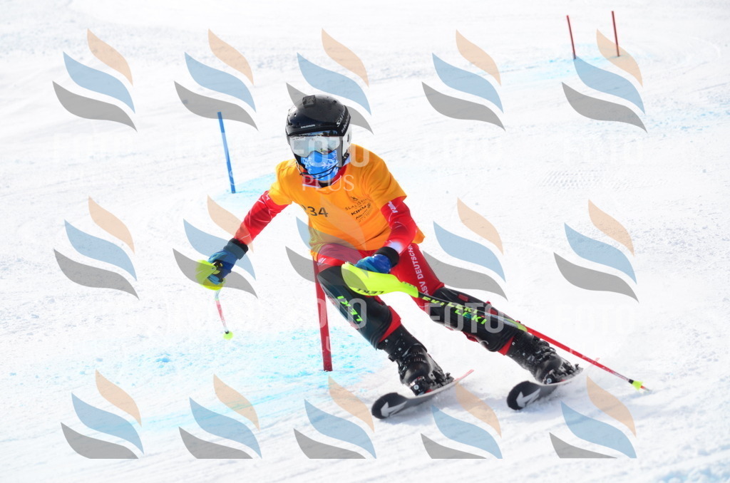 C8337 | holidayphoto