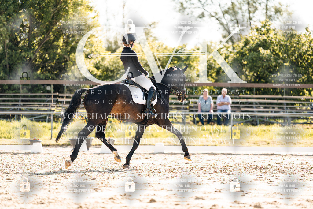 CK909911 | Turnierfotografie Pferdefotografie Trier Rheinland-Pfalz Pferdesport Reitsport Tierfotografie Sportfotografie Pferdevideo Pferdevideografie Equestrianvideography equestrianphotography  - Realisiert mit Pictrs.com