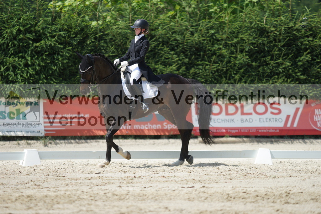 DSC05290 | equestrian-live-com
