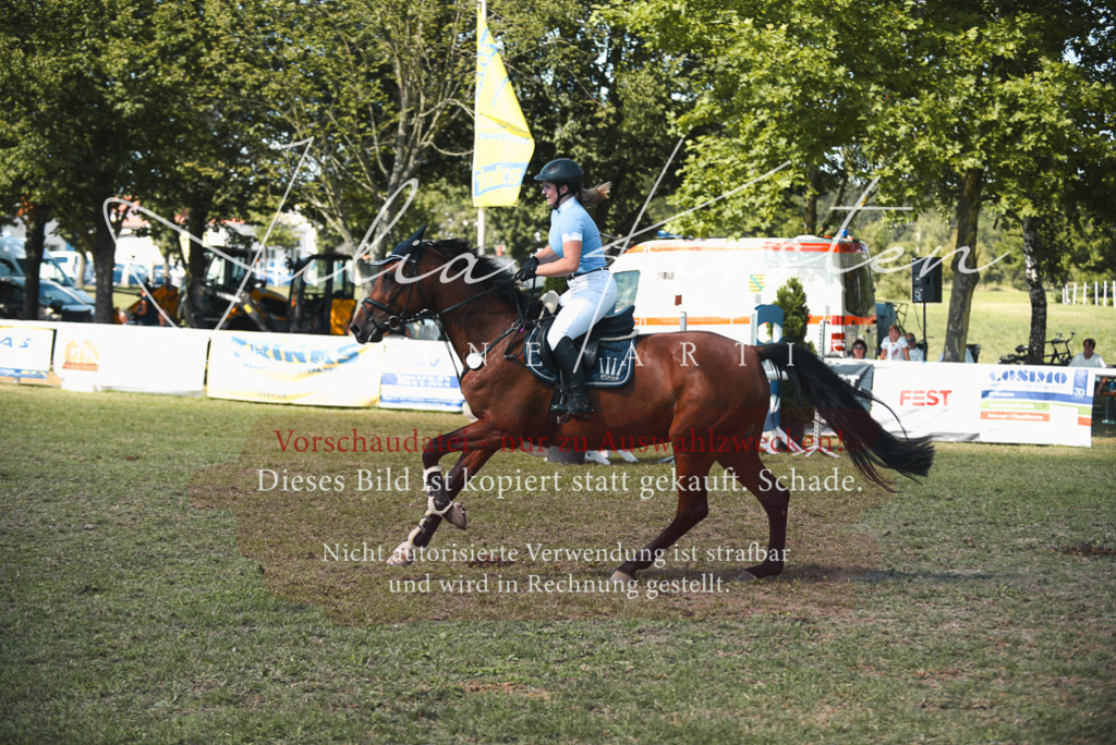 DSC_7140 | Pferde- und Turnierfotografie in Westsachsen. Pferdeportraits, Auftragszeichnungen und intuitive Kunst.