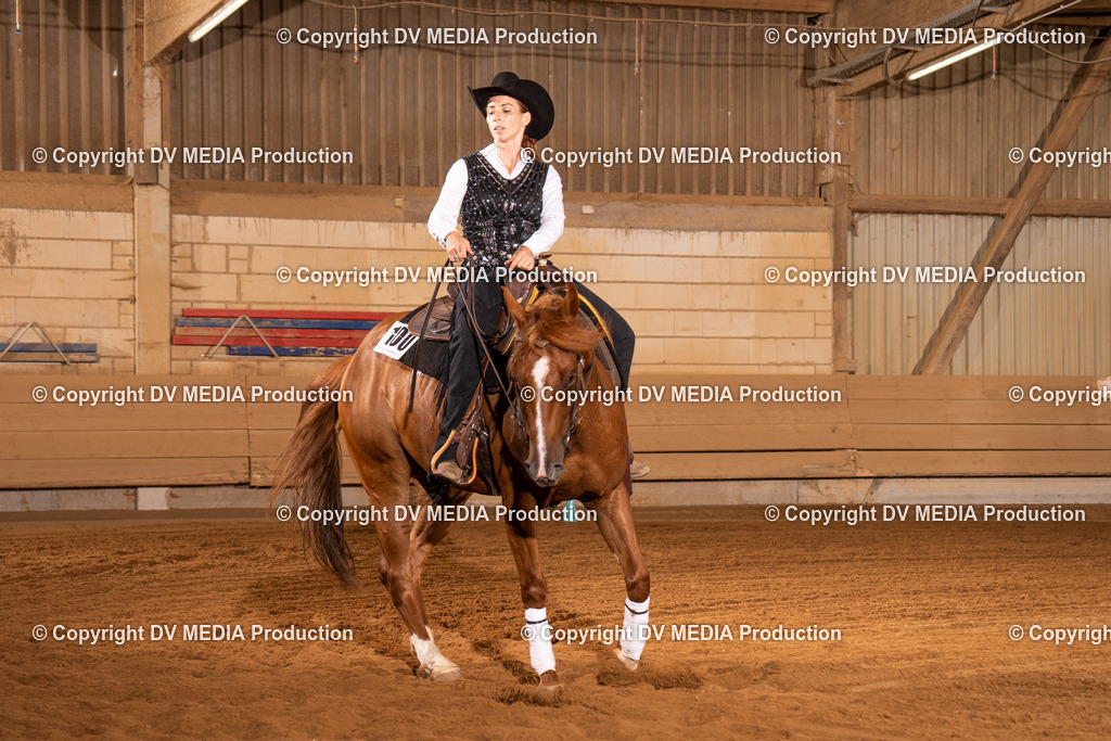 NID01041 | dv-media-shop - Realisiert mit Pictrs.com