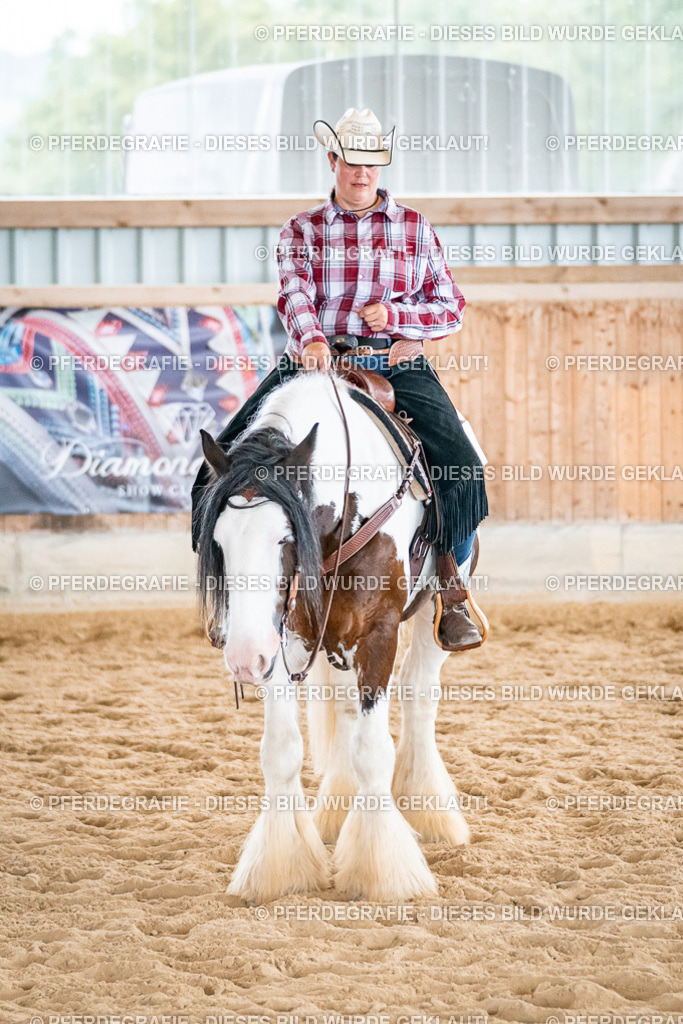 DSC00470 | Pferdegrafie