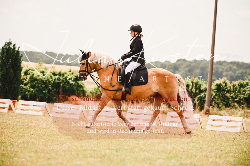 DSC_6303 | Pferde- und Turnierfotografie in Westsachsen. Pferdeportraits, Auftragszeichnungen und intuitive Kunst.