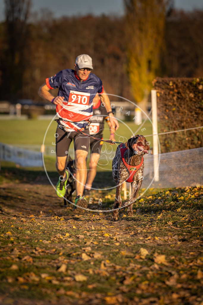 CaniXpix_DV3A4747 | Hundefotografie, Tierfotograf, Pfotenfotografie, Fotoshooting Hund, Hunde Portrait, Hundesport, Hundeportraits, Heideshooting, Hunde, Sportfotograf, Hundefotograf, Turnierhundsport, THS,  - Realisiert mit Pictrs.com
