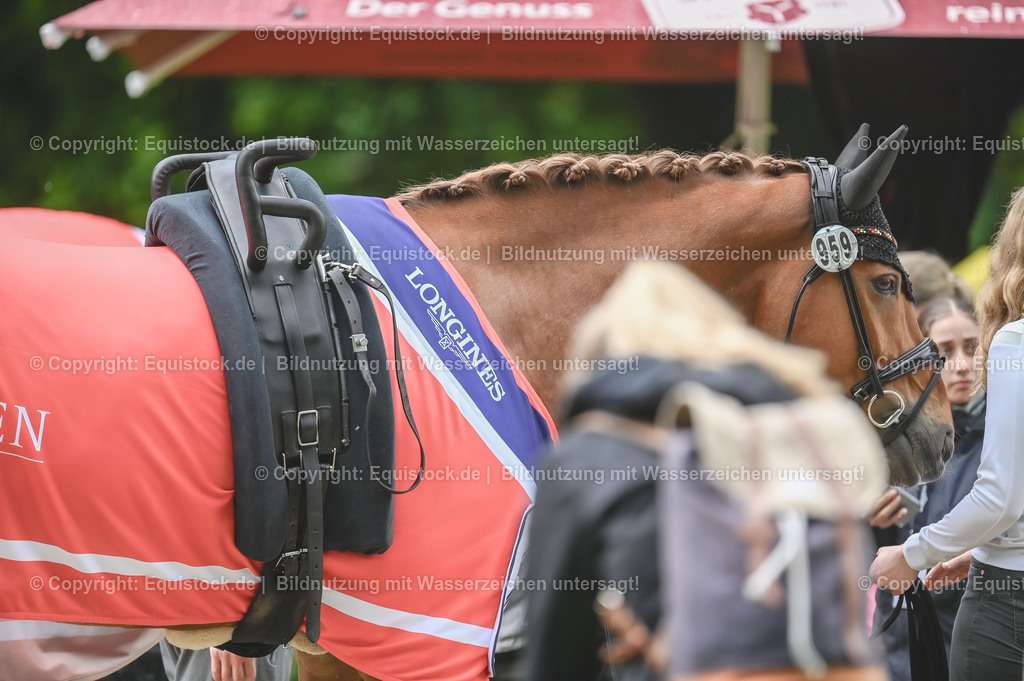 20240519_Voltige_1041 | Foto: Thomas Hartig