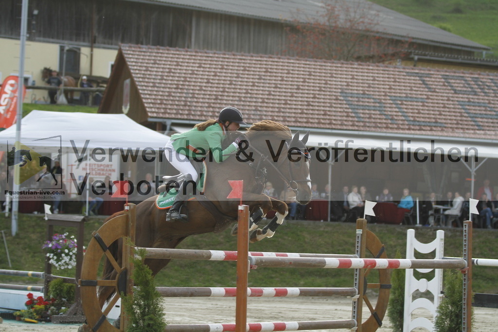 _MG_1804 | equestrian-live-com